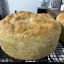 Sourdough Bread Round - Plain
