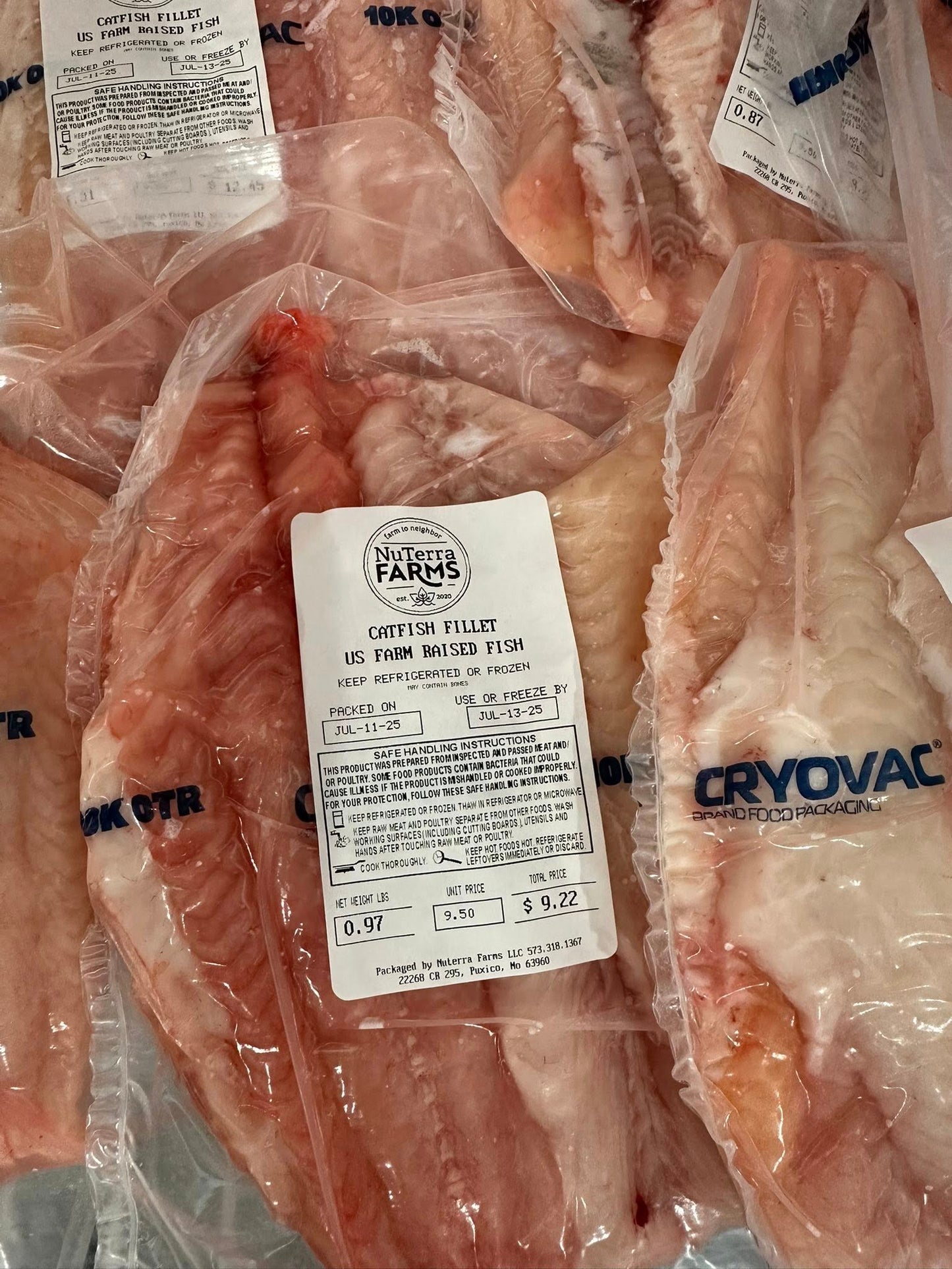 Premium Hand-Filleted Catfish